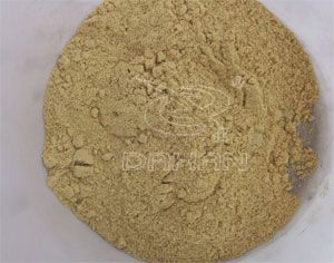 黃豆粉 黃豆粉